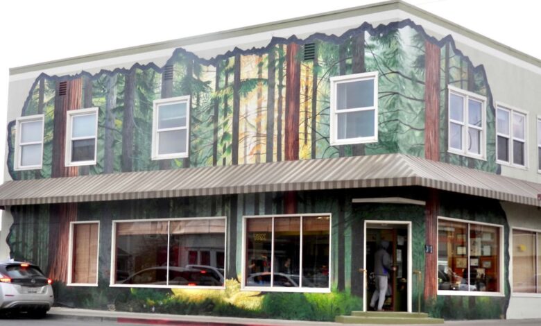 All new coming to Fort Bragg: Booze outdoors, Five new murals, lots of new Police Gizmos, including see-all cruiser cameras