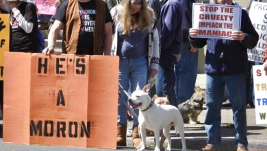 Fort Bragg protesters who suffered drive-by pellet peppering on Saturday assured by police response