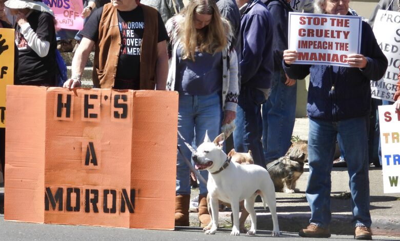Fort Bragg protesters who suffered drive-by pellet peppering on Saturday assured by police response Fort Bragg protesters who suffered drive-by pellet peppering on Saturday assured by police response