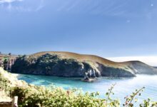 Entire 84-acre Albion Headlands for sale, 16  houses or preserve? Worker housing and preserve? Attend a Monday, June 9  public meeting to discuss