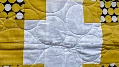 Broken leg! Wasp attack!  Apologies for missed stories and appointments.  We are back at it Sunday. See you at the quilt show!