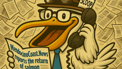 Mendocino Coast .News Logo Pelican