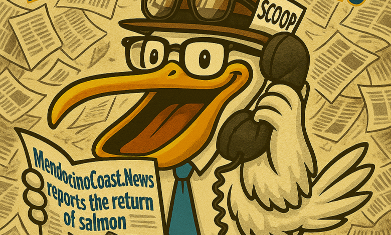 Mendocino Coast .News Logo Pelican