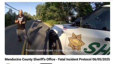 On July 15, MCSO releases two videos showing June 5 fatal Willits tasering . Video matches original press release. We would like to tell the human stories here, please contact us, every life is worth a story