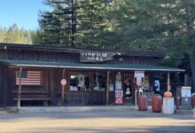 Drunken man arrested in machete attack at Comptche store has a story too. Senior citizen took weapon from younger man, gave it to cops