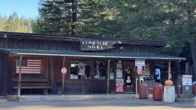 Drunken man arrested in machete attack at Comptche store has a story too. Senior citizen took weapon from younger man, gave it to cops